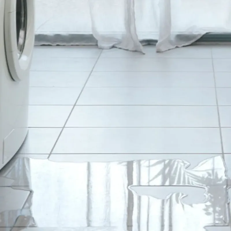 Appliance Leak Cleanup in Augusta, KS