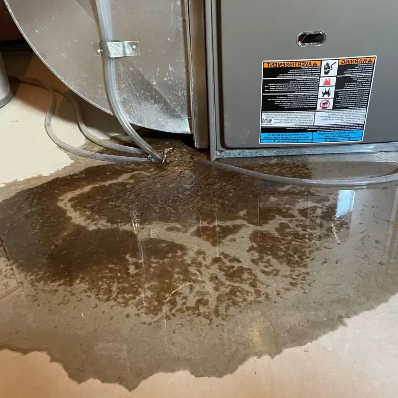 Pipe Burst and Leak Restoration in Augusta, KS