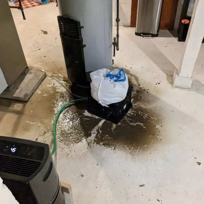 Sewage Backup Cleanup Service in Augusta, KS